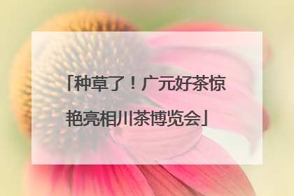 种草了！广元好茶惊艳亮相川茶博览会